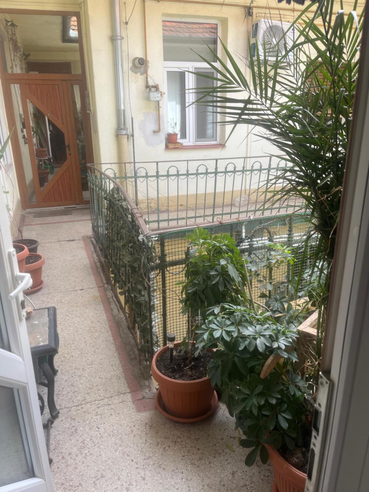 Sia'S Home Oradea Bagian luar foto